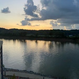 Meet your Posher, Molly